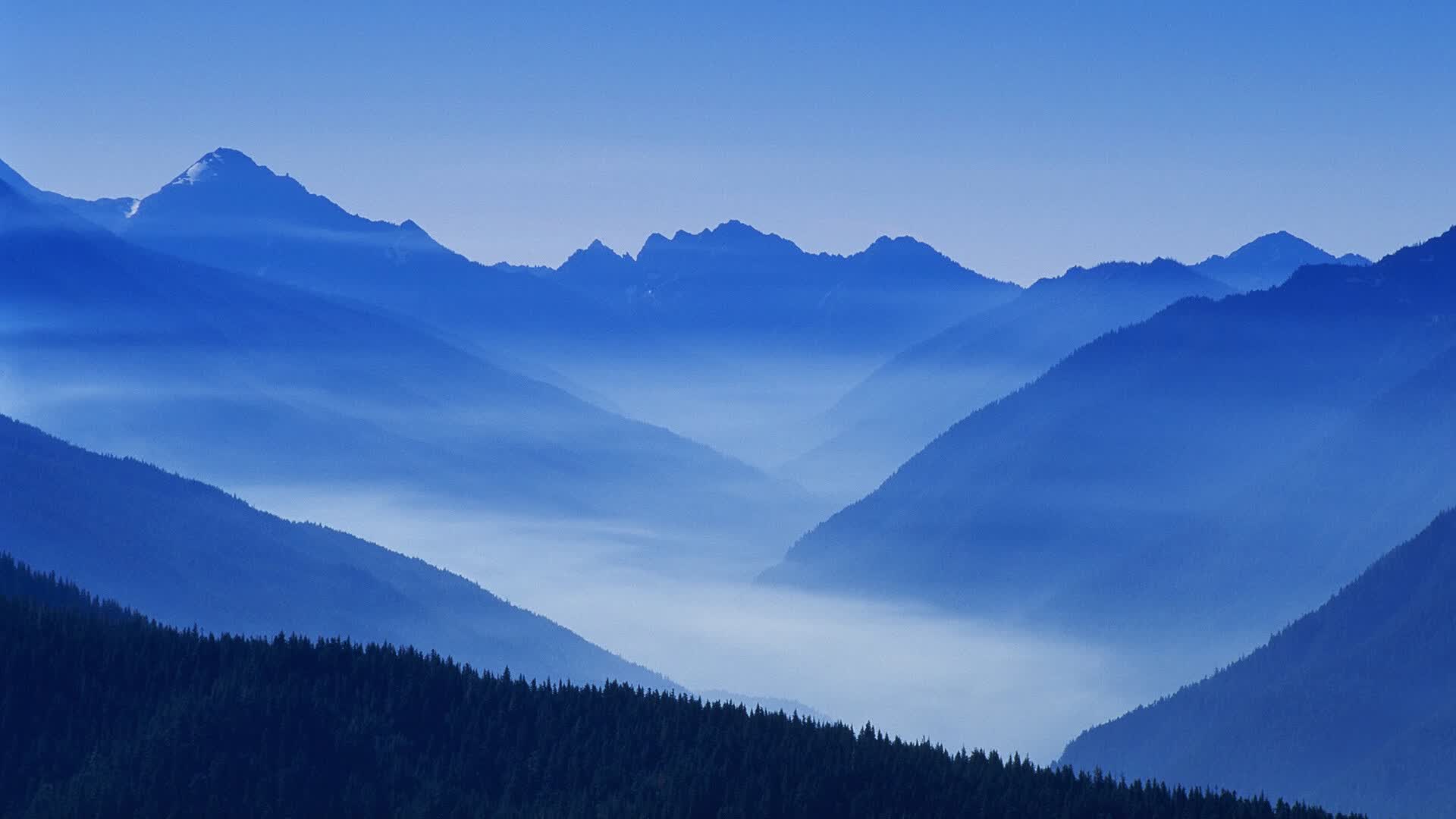 世界网球青少年双打联赛开启常态化赛程,世界网球双打排名